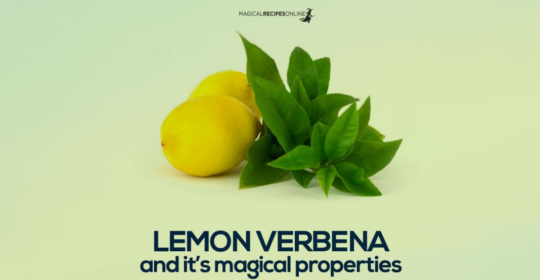 lemon-verbena-s-versatile-magical-properties-magical-recipes-online