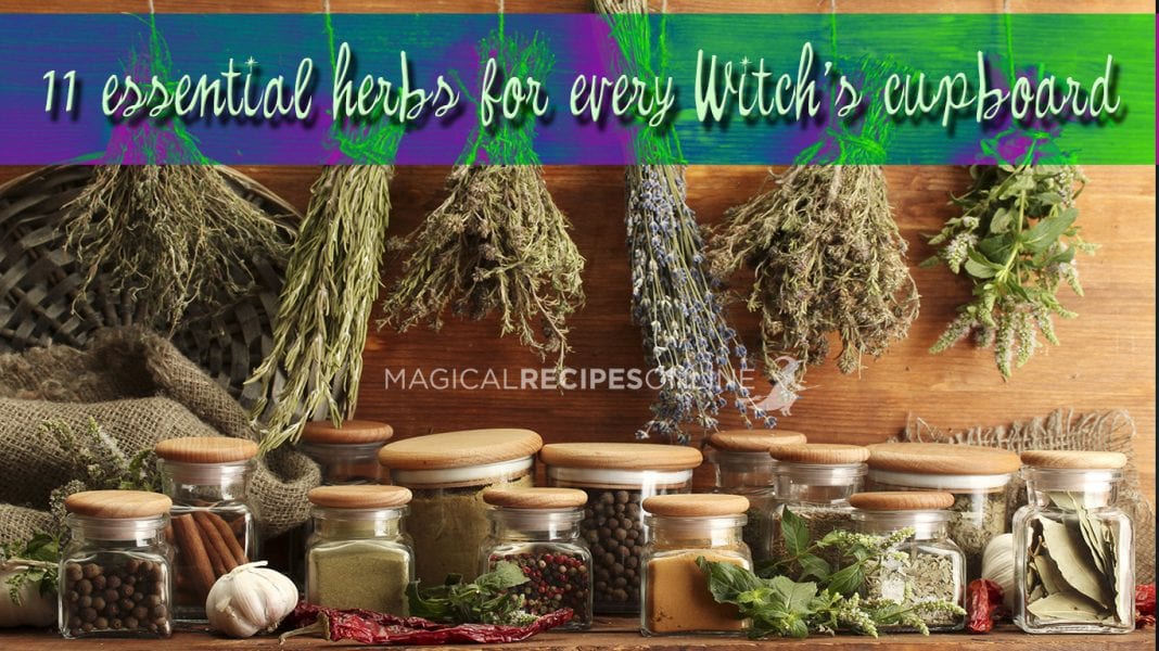 HERBAL MAGIC: 11 magical herbs and spices - Magical Recipes Online