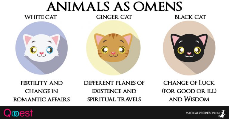 10-animals-as-omens-when-they-cross-your-path-magical-recipes-online