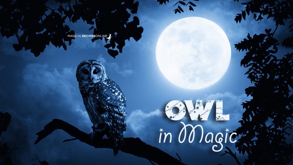 magical names for owls