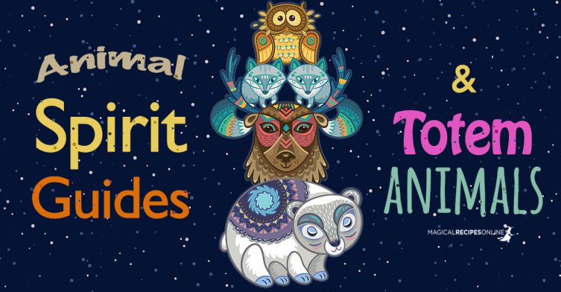 Power Animals, Animal Spirit Guides, Animal Totems.... Oh My - Magical ...