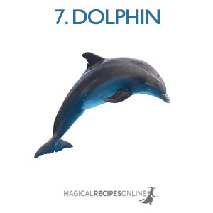 dolphin shapeshift
