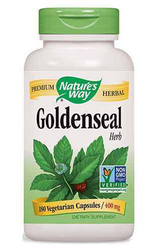 Golden Seal - Goldenseal Herb