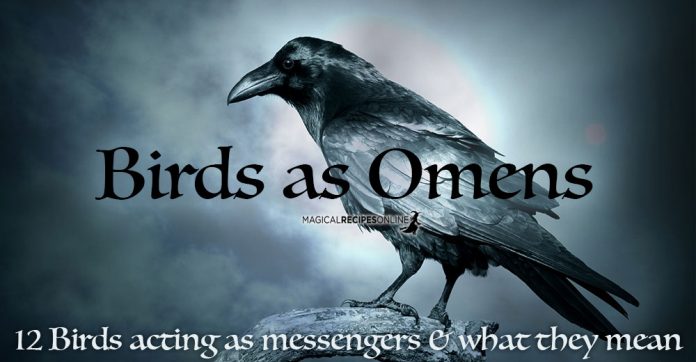 Birds as Omens when they Cross Your Path - Magical Recipes Online