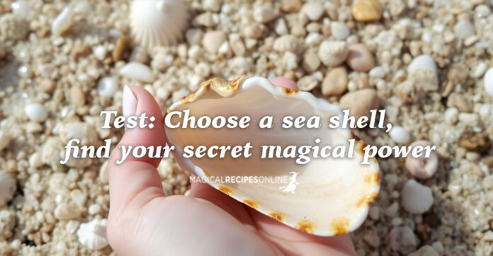 Test: Choose a sea shell, find your secret magical power. the shells are the language of the sea! Let's interpret it!