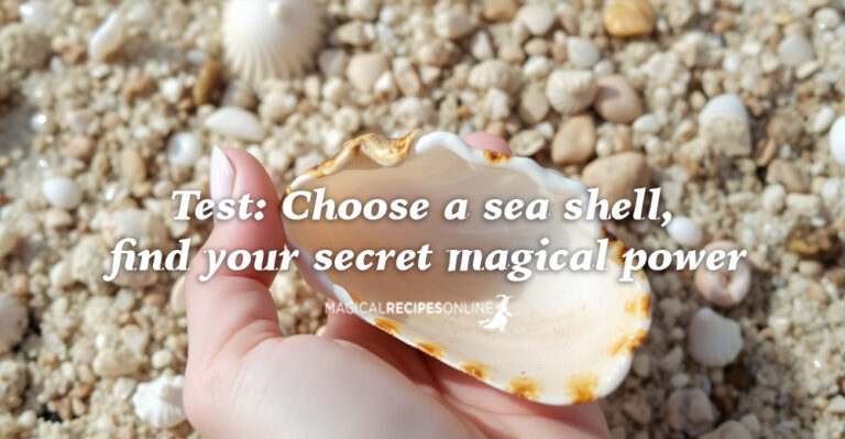 Test: Choose a sea shell, find your secret magical power